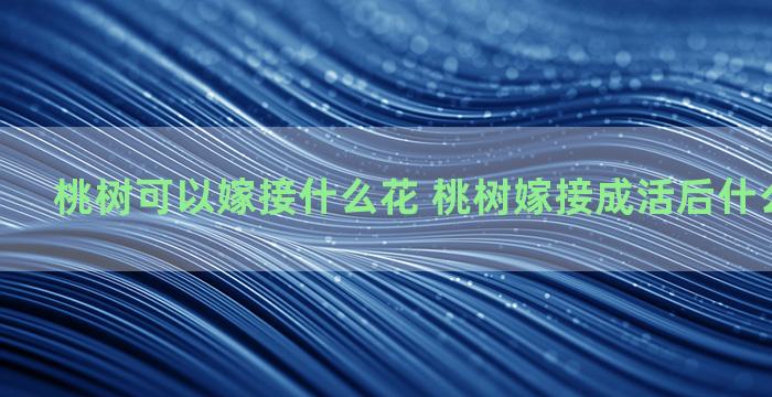 桃树可以嫁接什么花 桃树嫁接成活后什么时候去袋